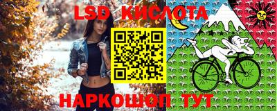 сатива Будённовск