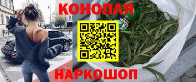 сатива Будённовск