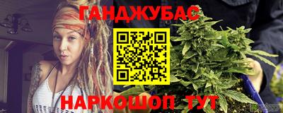 сатива Будённовск
